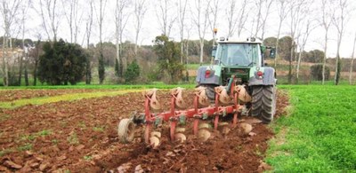 Arada de pales per a les labors del sòl (Autor: Departament d'Agricultura/Alejandro Pérez)