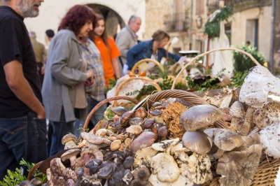 Bolets (Foto: Diputació de Lleida)
