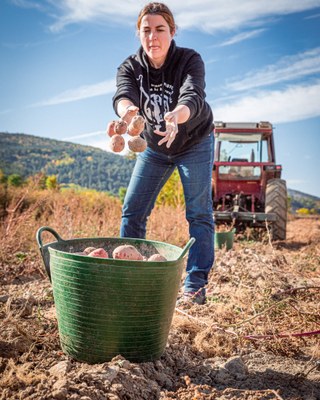 Una dona treballant en un camp al Pirineu (Foto: Consell Comarcal de la Cerdanya)