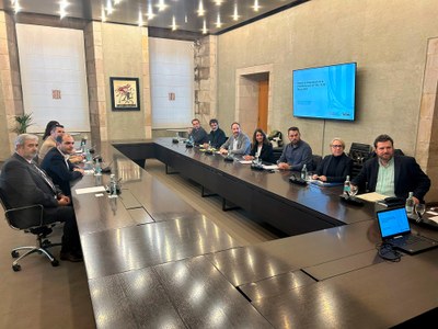 Reunió de les entitats municipalistes amb Albert Dalmau per abordar el desplegament de l'Estatut del Municipi Rural (Foto: ACM)