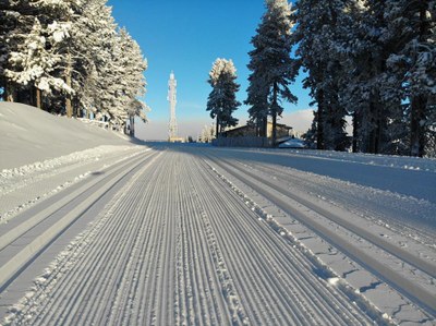 Tuixent-la Vansa, aquest hivern (Foto: estació de Tuixent-la Vansa)