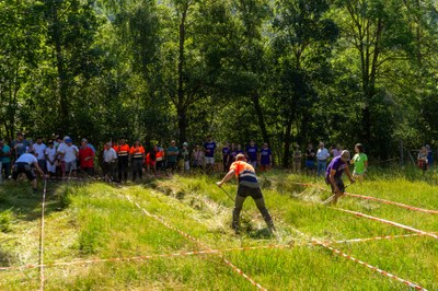 Prova de dallar a les Olímpiades Pallareses, a Ainet de Cardós (Foto: ACN / cedida per Olímpiades Pallareses)