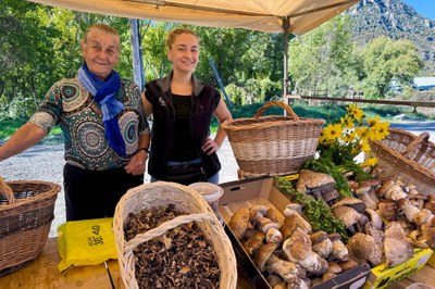 L'Anna i la Carmen mostren la seva parada familiar de bolets al Pont de Suert (Foto: ACN)