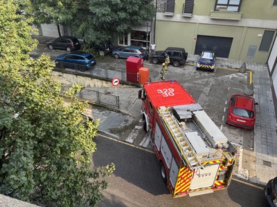 Retirada de branques caigudes sobre un cotxe a la Seu d'Urgell