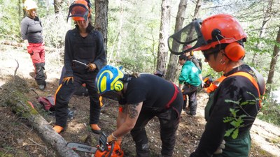 Curs de motoserra per a dones, organitzat per l'Escola Agrària del Pirineu