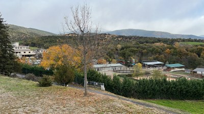 Una part de les instal·lacions de l'Escola Agrària del Pirineu, situada a Bellestar (Foto: Albert Lijarcio)