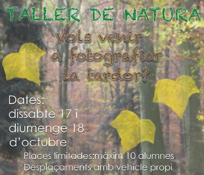 Taller de fotografia