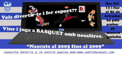 Sedis - Escola de Bàsquet cartell