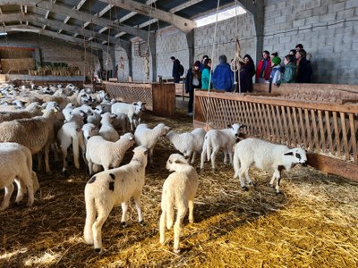 Els alumnes de l'Escola de Pastors visitant una granja d'ovelles a Enviny (Foto: ACN/Marta Lluvich)