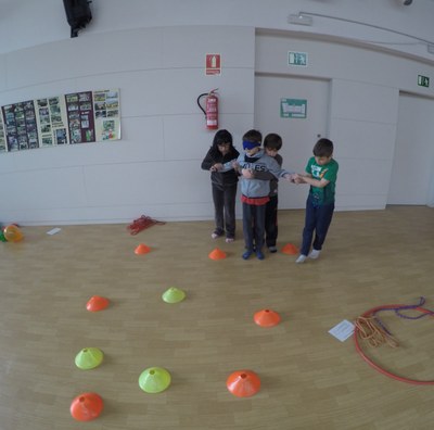 Formigues cooperatives a l'Escola Pau Claris de la Seu