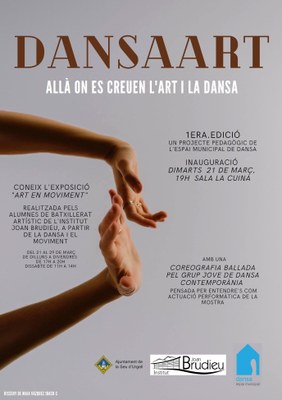 DansaArt a la Seu d'Urgell