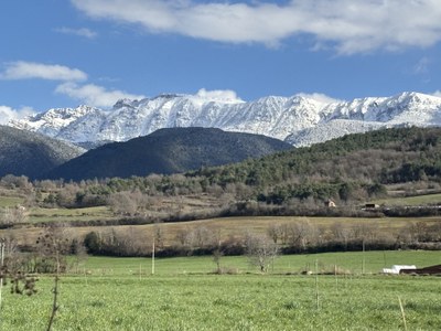 El Cadí nevat després d'una de les diverses precipitacions d'aquest març de 2025 (Foto: RàdioSeu)