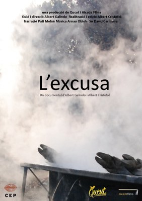 Picurt 2013 - 'L'excusa'