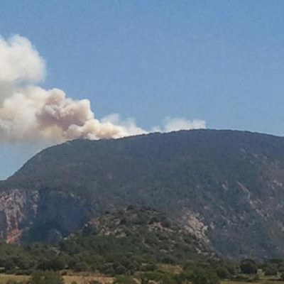 Incendi d'Ossera des de Montant de Tost