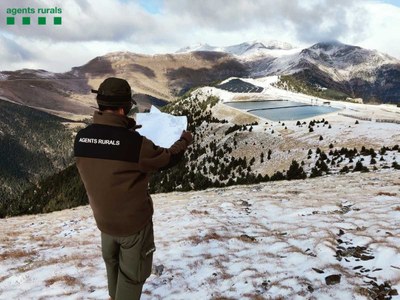 Un agent rural observa la zona del Planell de la Tosa, al límit entre Andorra i l'Alt Urgell (Foto: Agents Rurals)