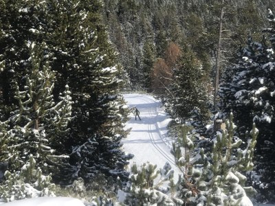 Lles de Cerdanya (Foto: Tot Nòrdic / arxiu)