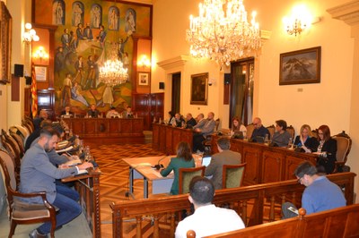 Ple de la Diputació de Lleida (Foto: Diputació de Lleida)