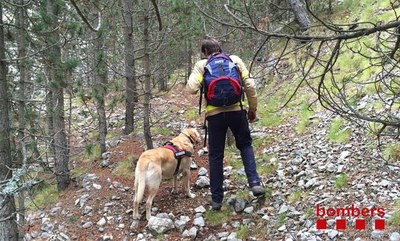Recerca del boletaire perdut a Alinyà