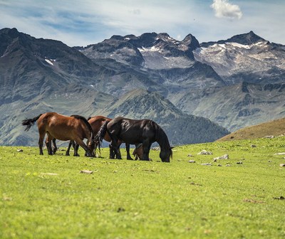 Val d'Aran (Foto: Conselh Generau d'Aran)