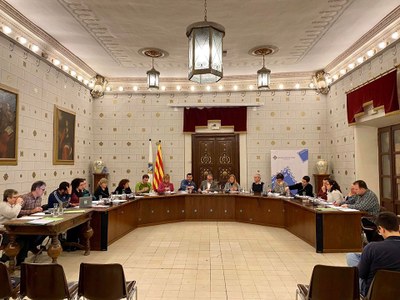 Ple Municipal de la Seu d'Urgell (Foto d'arxiu 2020.03.02)