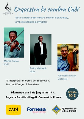 Concert de l'Orquestra de Cambra Cadí amb els solistes Mikhail Spivak, Andriy Viytovych i Arne Neckelman 