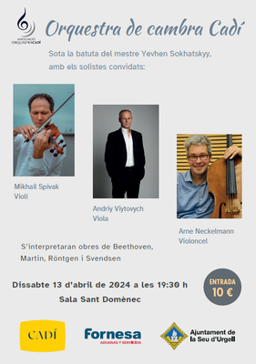 Concert de l'Orquestra Cadí amb els solistes Mikhail Spivak, Andriy Viytovych i Arne Neckelman