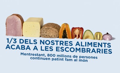 Campanya 2017 de Mans Unides