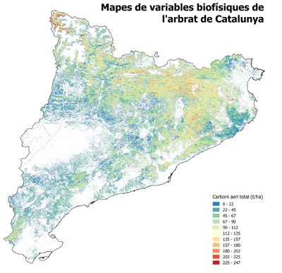 Mapa d'alta resolució de boscos de Catalunya
