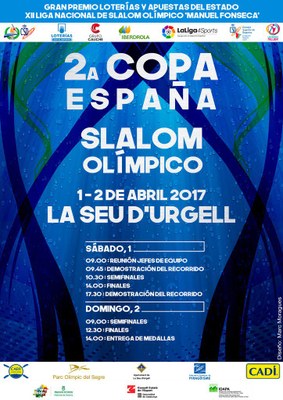 Segona prova de la Copa d'Espanya d'eslàlom 2017