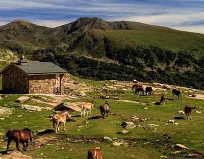 Refugi de Cabana Sorda (Foto: Visit Andorra)