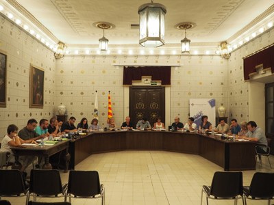 Ple ordinari a l'Ajuntament de la Seu d'Urgell 