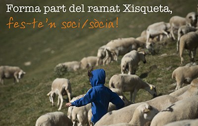 Projecte d'apadrinament