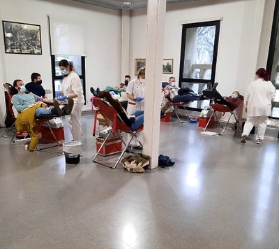 Jornada de donació de sang a la Seu (Foto: FSH)
