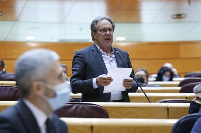 Miquel Caminal, en una intervenció al Senat (ERC)