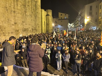 La manifestació ha finalitzat a la plaça dels Oms de la Seu d'Urgell