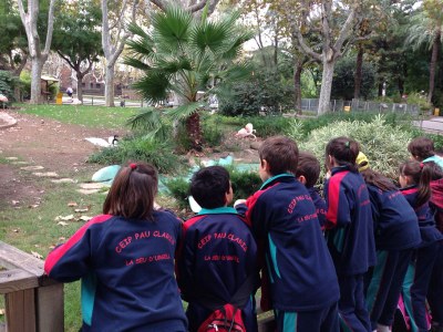 Escola Pau Claris - Visita Zoo 10.2013