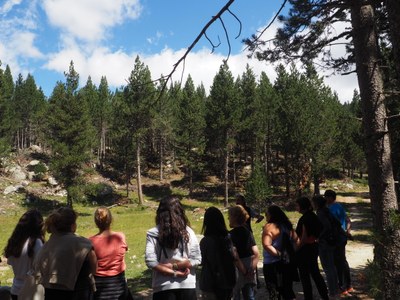 Excursió per l'estació de Lles de Cerdanya, dins la presesentació de NordiCat (Foto: CAUC)
