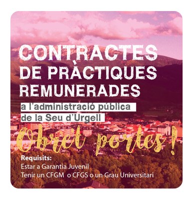 Pràctiques remunerades