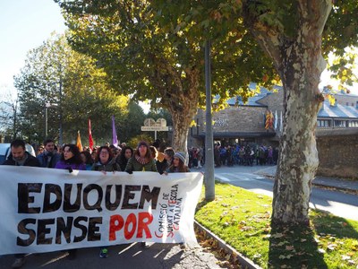Manifestació unitària pels carrers de la Seu dins de la vaga del 8-N
