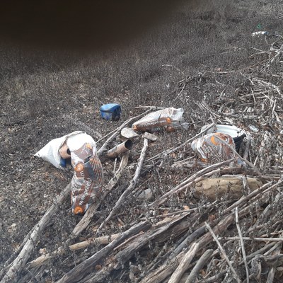 Nova acció de neteja a l'entorn del pantà d'Oliana (Foto: Per una Catalunya Neta)