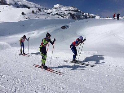 Campionats d'Espanya d'esquí nòrdic 2016 (FCEH)