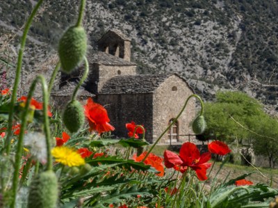 Sant Serni de Cabó (Foto: Víctor Merencio)