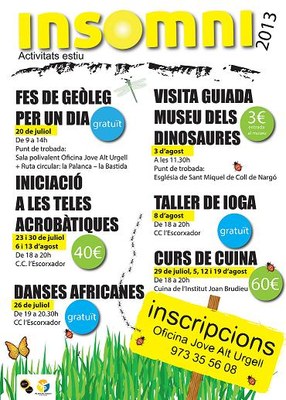 Insomni Estiu 2013 - Cartell