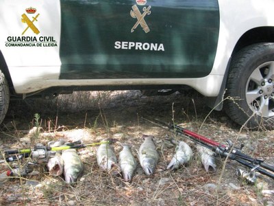 Pesca furtiva (Seprona)