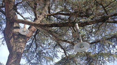 Instal·lació de menjadores en parcs de la Seu d'Urgell (Foto: Ajuntament de la Seu d'Urgell)