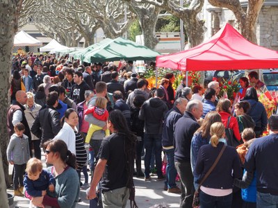 Sant Jordi 2016 a la Seu