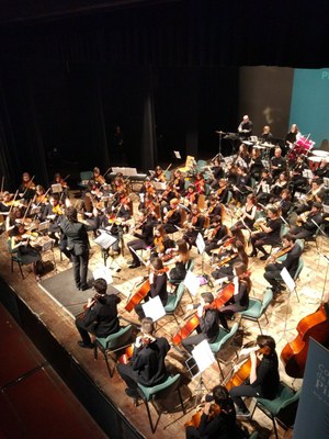 Concert d'alumnes del Conservatori de Música dels Pirineus