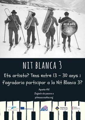 Nit Blanca 2017 a la Seu