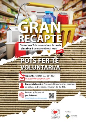 Crida per trobar voluntaris per al Gran Recapte d'Aliments 