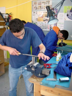 Inserció laboral